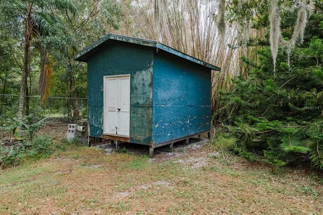 a view of a forest with a yard