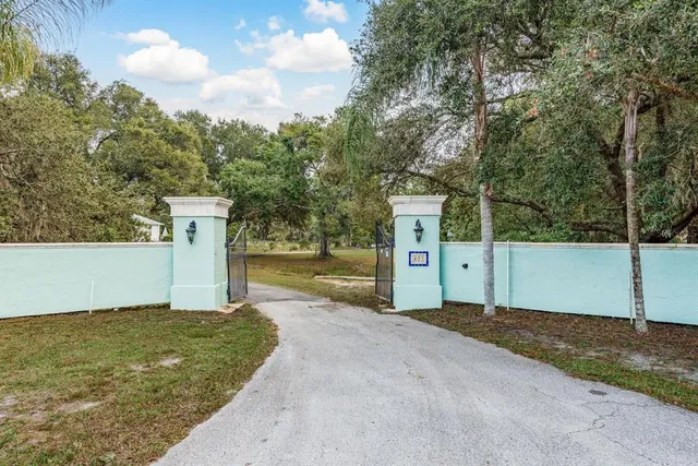 a view of a forest with a street