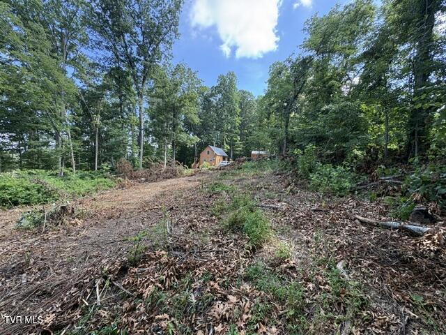 188 Booher Road, Unit 8 Jonesborough, TN 37659 - Photo 5 of 12 IMG_1511