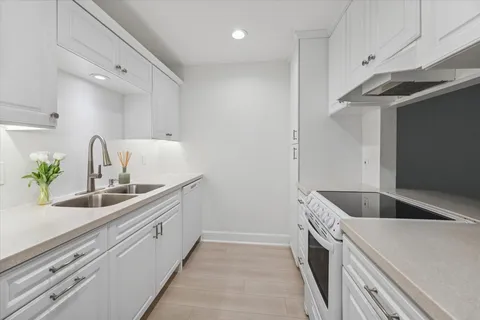 a body of water with a tree in the background