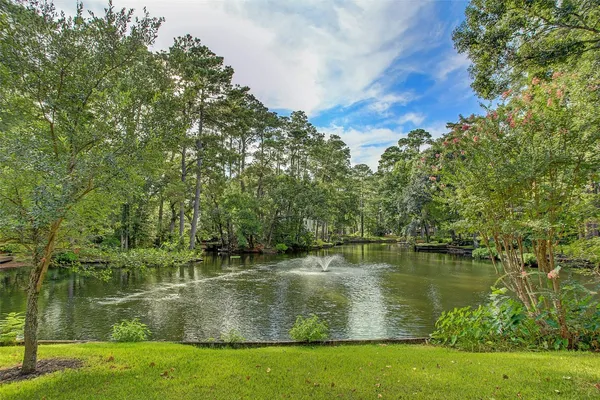 $3,000,000 | 45 Patti Lynn Lane, Houston, TX 77024