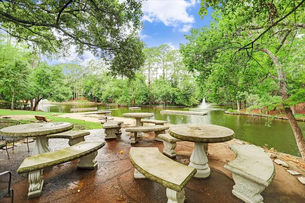 $3,000,000 | 45 Patti Lynn Lane, Houston, TX 77024