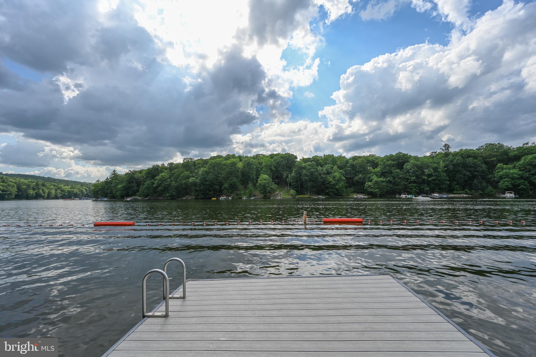542 Bench Road Swanton, MD 21561 - Photo 52 of 60 Beautiful Summer Days
