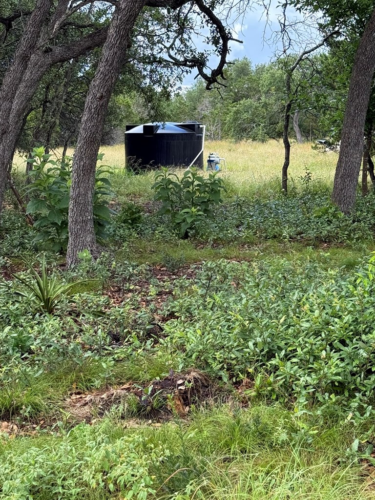 589 Rolling Hills Road, Unit 4B Blanco, TX 78606 - Photo 4 of 16