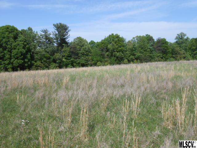 Tbd Baton School Road Lenoir, NC 28645 - Photo 10 of 12 Gallery Image 10