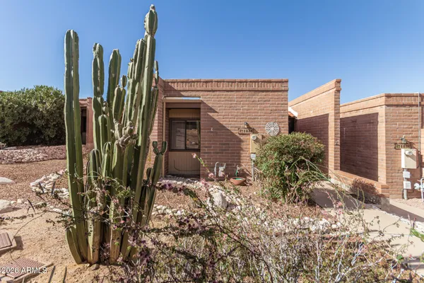 a view of a backyard with plants