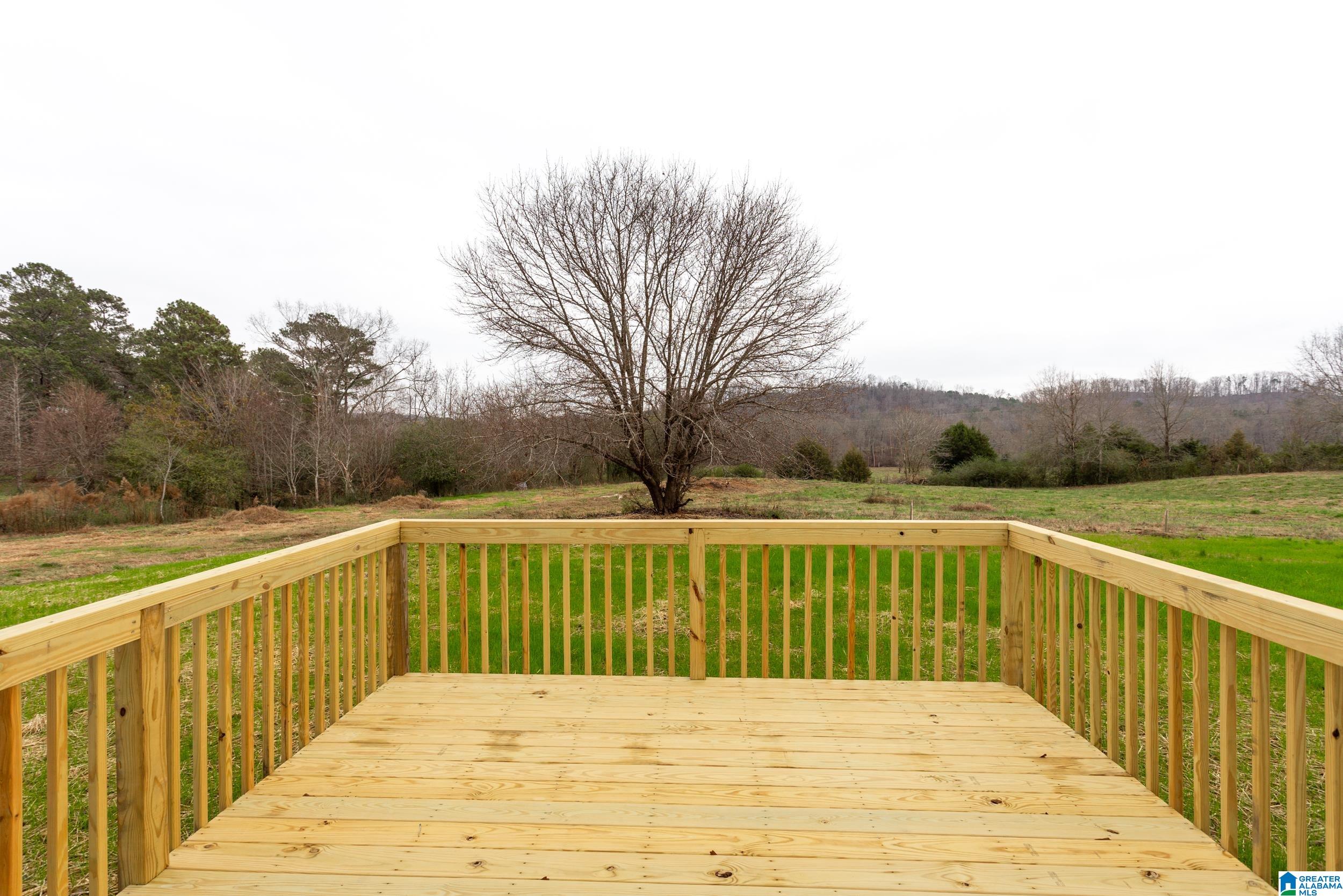 85 Grants Road Ohatchee, AL 36271 - Photo 29 of 36