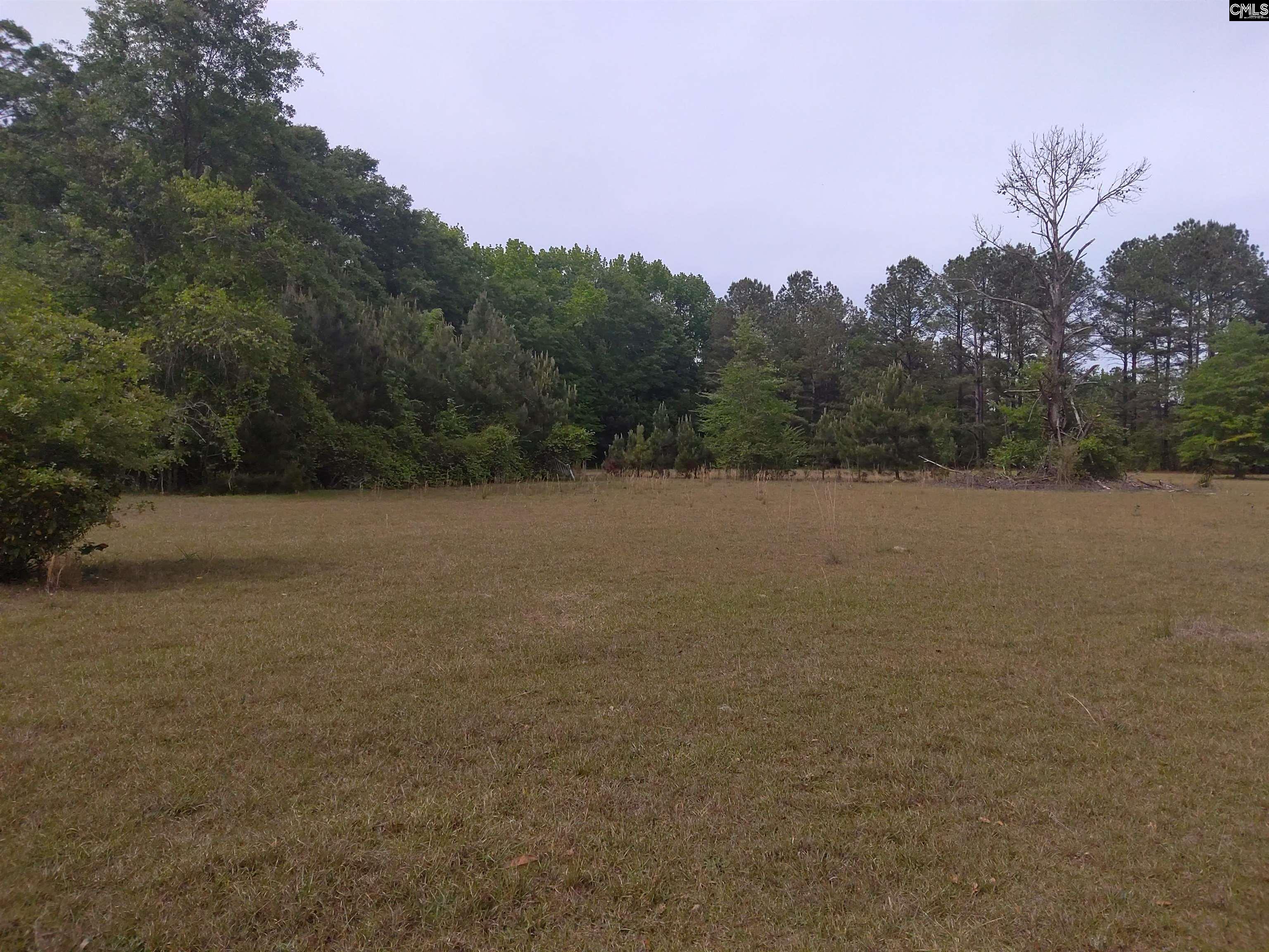242 Ault Road Hopkins, SC 29061 - Photo 8 of 15