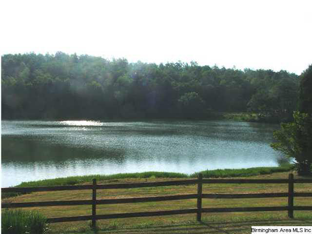 1000 Arabian Road Columbiana, AL 35051 - Photo 3 of 23