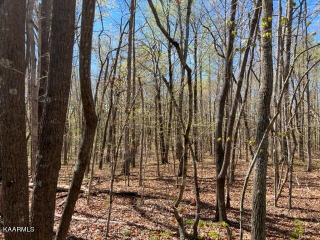 Reeves Road, Unit 7 Monterey, TN 38574 - Photo 1 of 4 IMG_1727