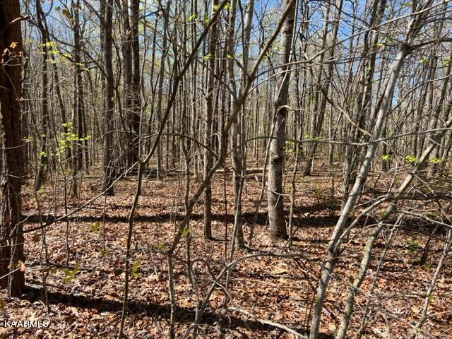 Reeves Road, Unit 7 Monterey, TN 38574 - Photo 3 of 4 IMG_1725