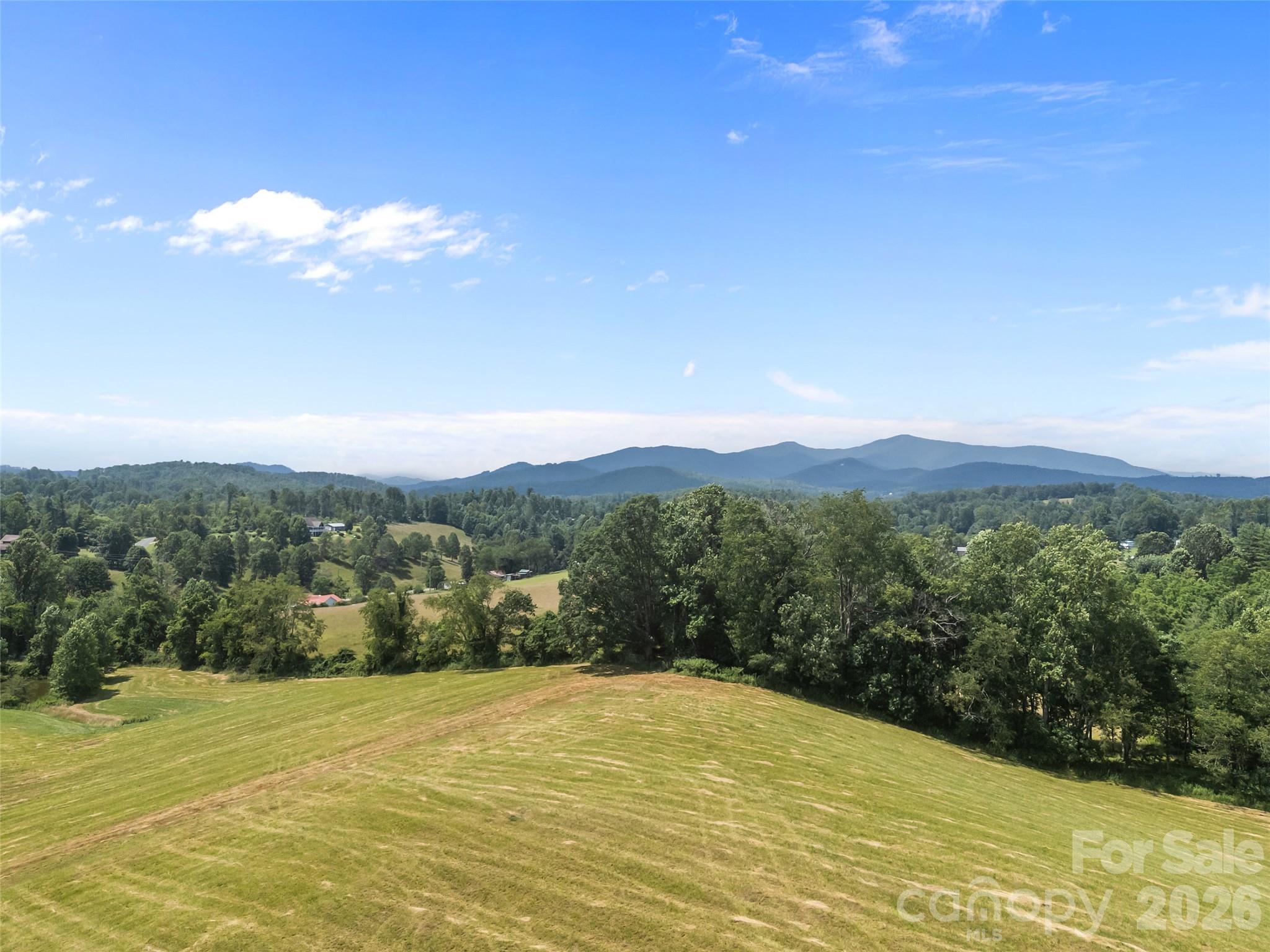 1305 Halltown Road Spruce Pine, NC 28777 - Photo 12 of 45 a view of an ocean from a yard