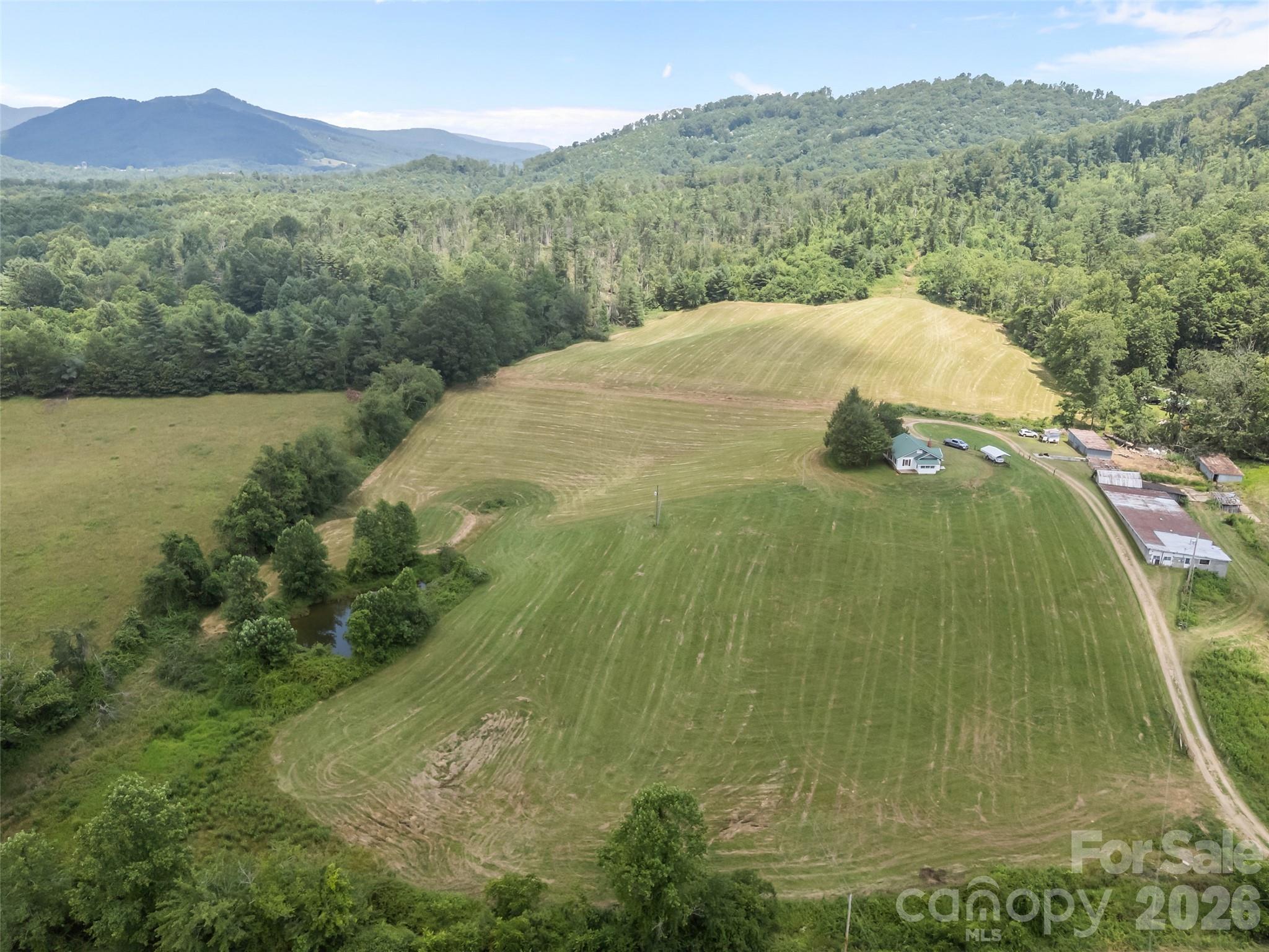 1305 Halltown Road Spruce Pine, NC 28777 - Photo 15 of 45 a view of a mountain