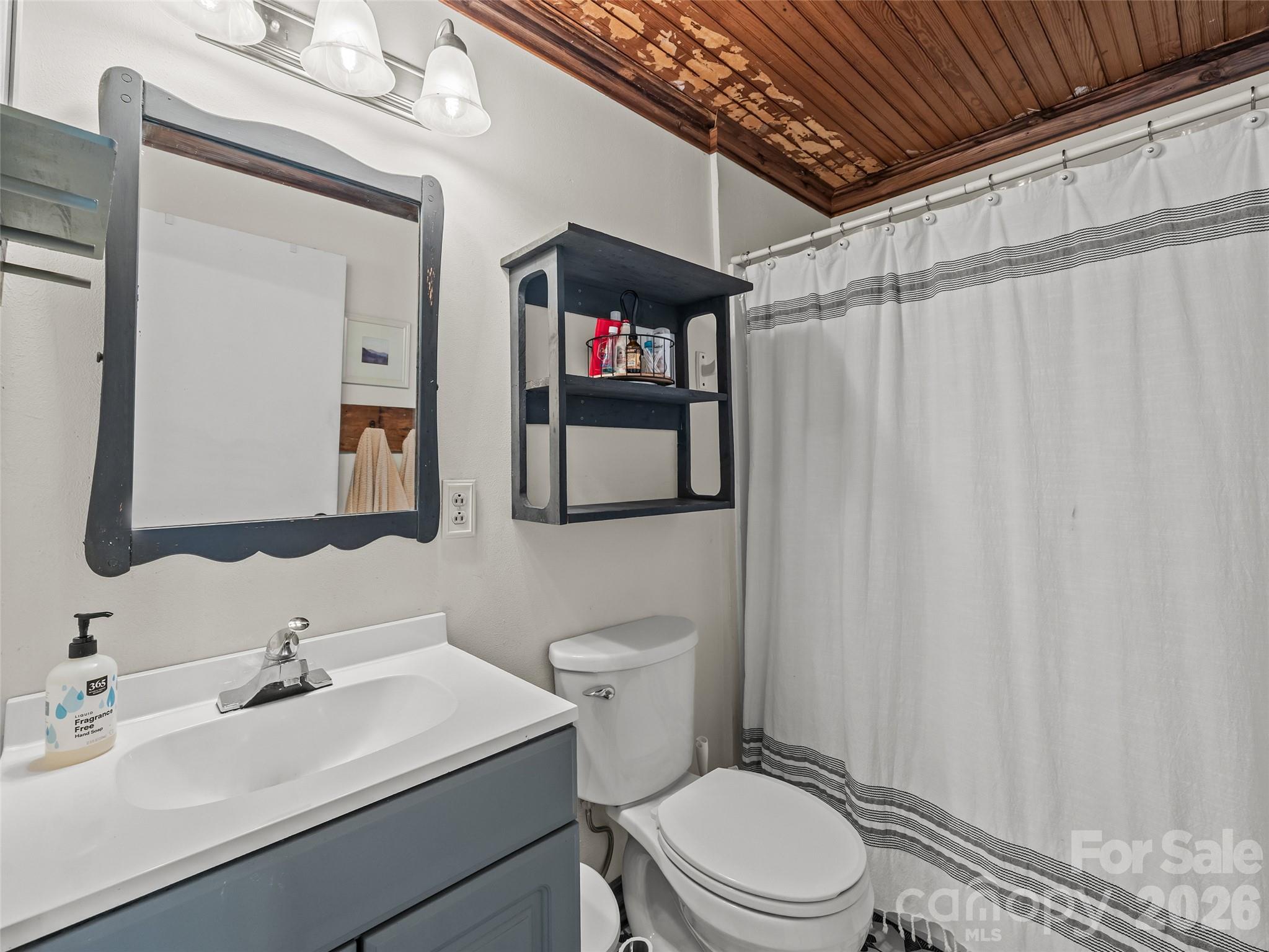 1305 Halltown Road Spruce Pine, NC 28777 - Photo 43 of 45 a bathroom with a sink a toilet and shower curtain