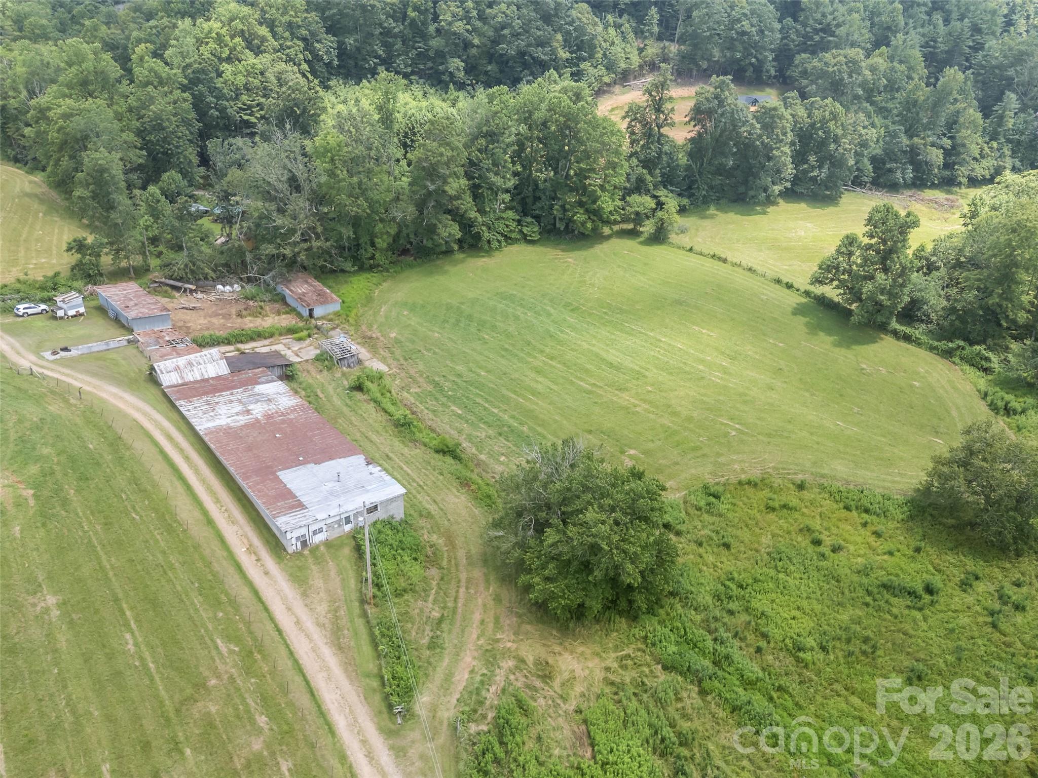 1305 Halltown Road Spruce Pine, NC 28777 - Photo 5 of 45 a view of a yard with an outdoor space