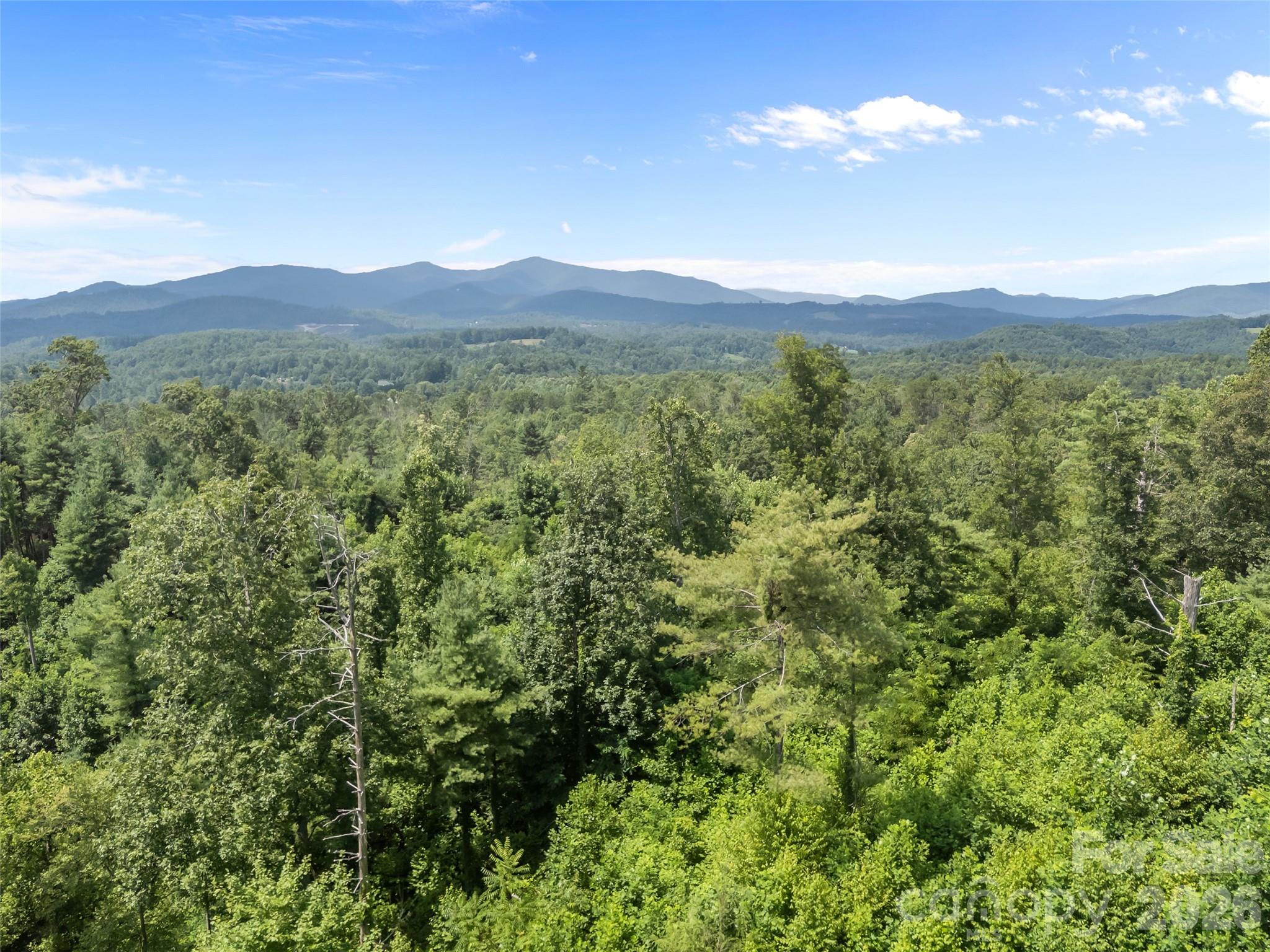 1305 Halltown Road Spruce Pine, NC 28777 - Photo 10 of 45 a view of a lush green hillside and a mountain view