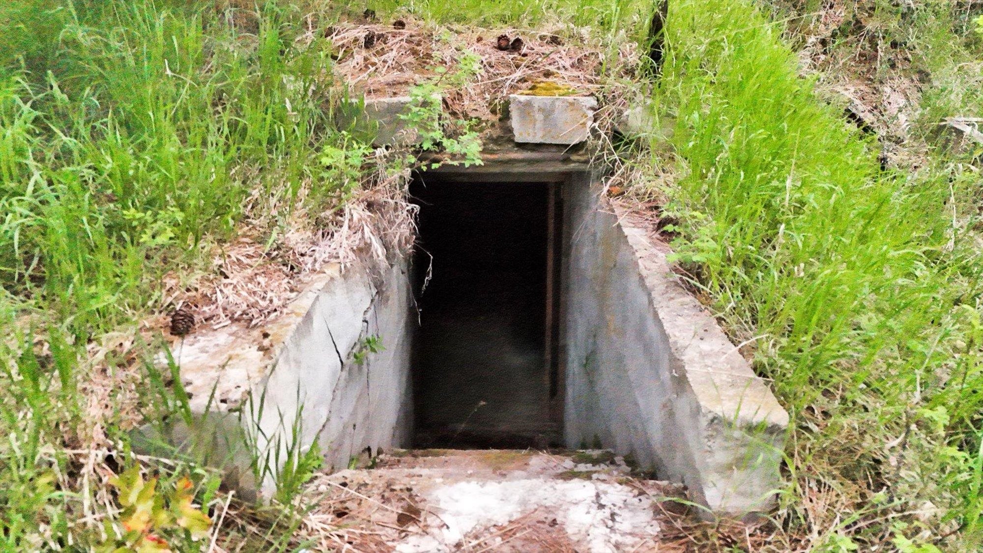 2111 West Mason Road Deer Park, WA 99006 - Photo 40 of 50