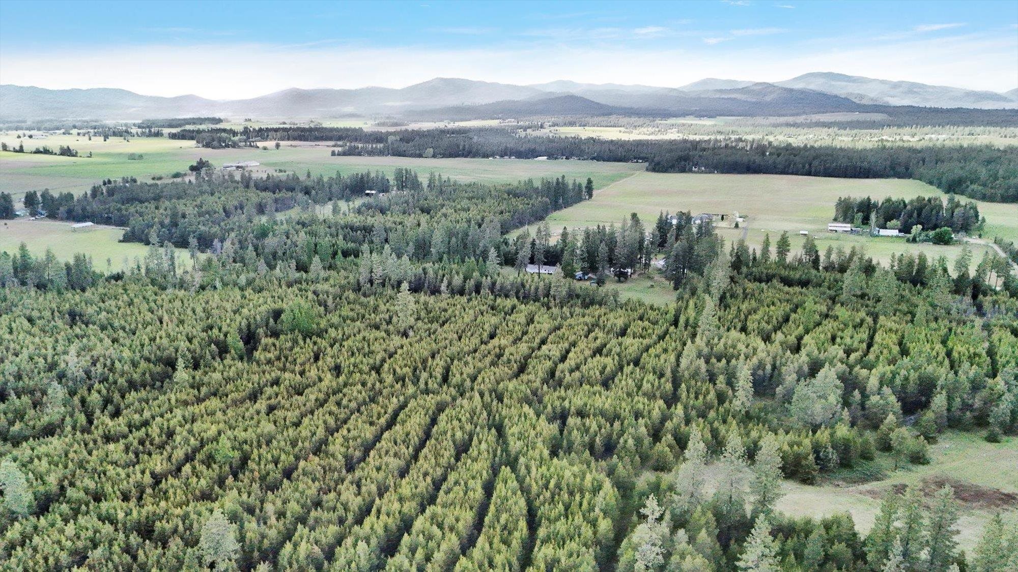 2111 West Mason Road Deer Park, WA 99006 - Photo 49 of 50