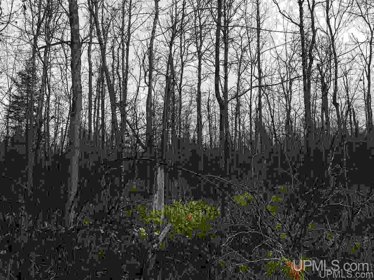 40-acres Off Cadeau Road Baraga, MI 49908 - Photo 8 of 19