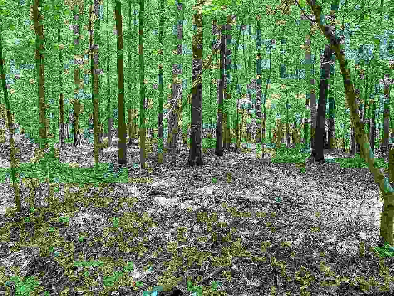 69002 Damascus Road Gainesville, GA 30506 - Photo 1 of 1