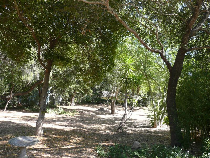2757 Foothill Road Santa Barbara, CA 93105 - Photo 4 of 4 Backyard