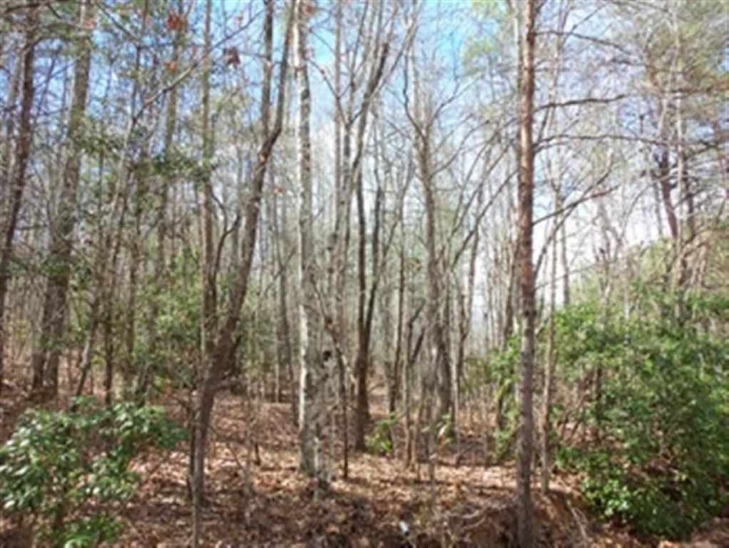 45.6-acres Pleasant Grove Road Cleveland, SC 29635 - Photo 4 of 7 Gallery Image 4