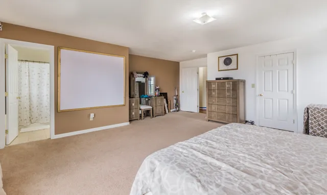 a bed room with a bed and a walk in closet