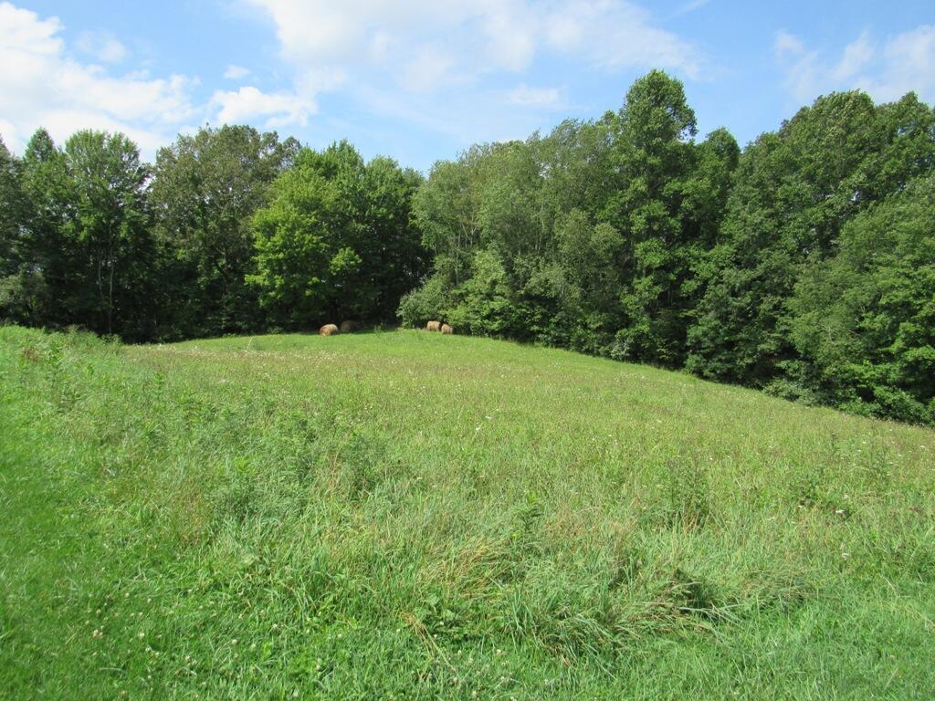 13503 Herald Road Coeburn, VA 24230 - Photo 27 of 32 24