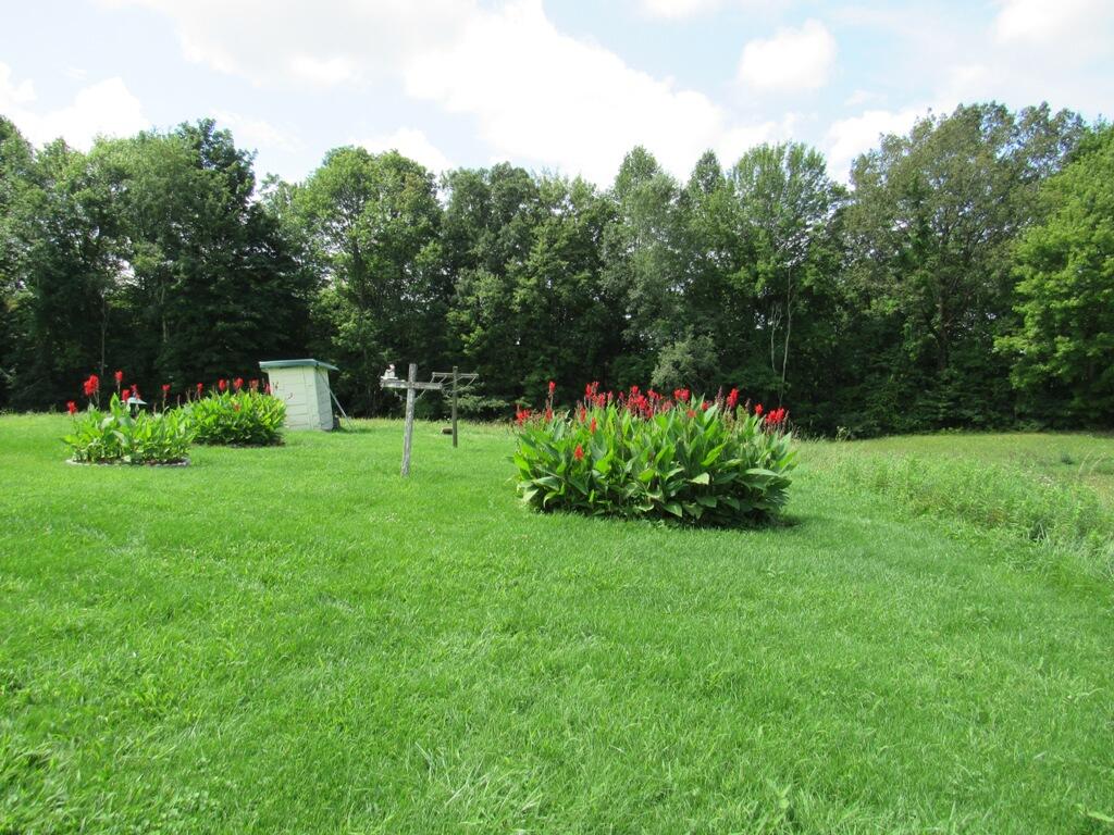 13503 Herald Road Coeburn, VA 24230 - Photo 3 of 32 3
