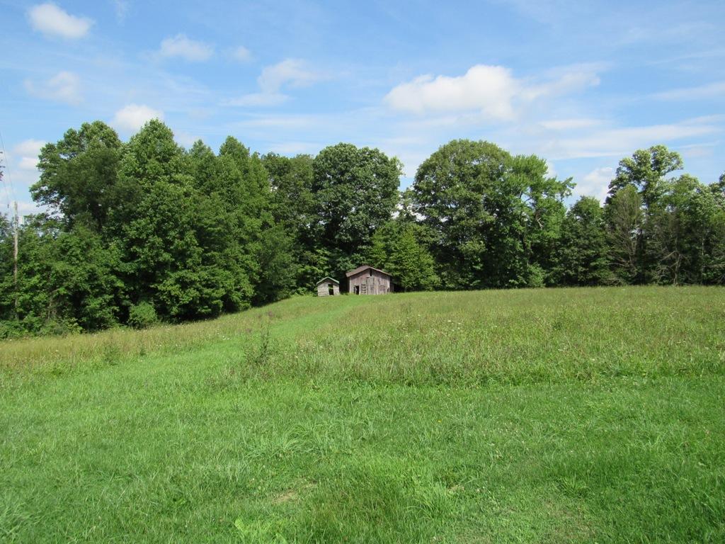 13503 Herald Road Coeburn, VA 24230 - Photo 4 of 32 4
