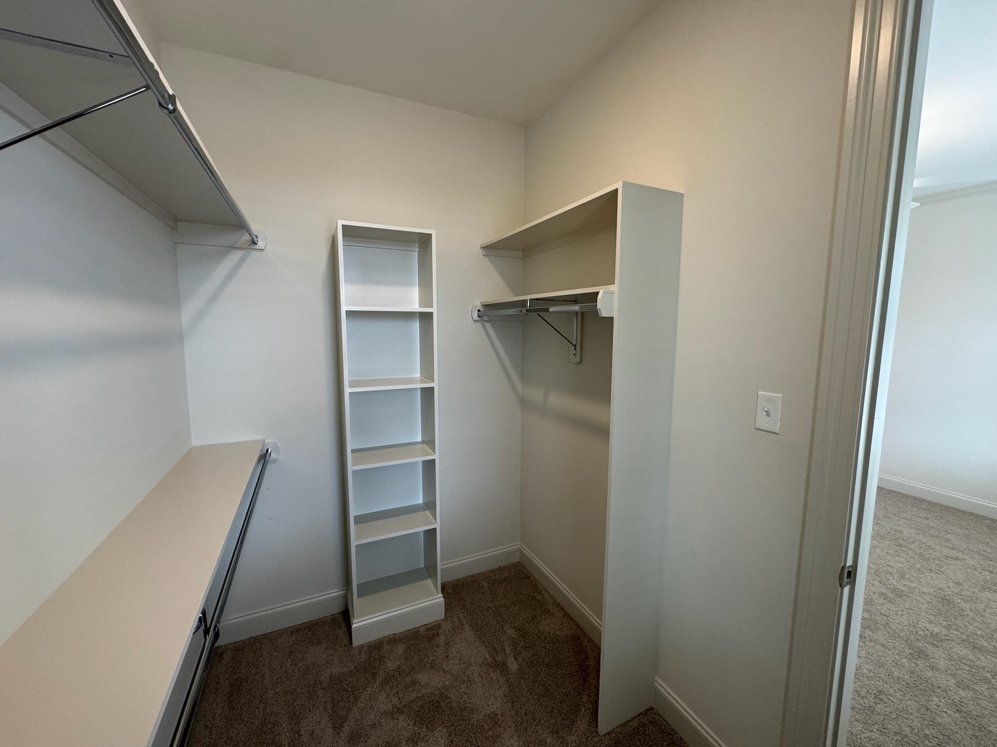 11512 Sunsparkler Way Collierville, TN 38017 - Photo 14 of 40 Walk in closet featuring dark colored carpet