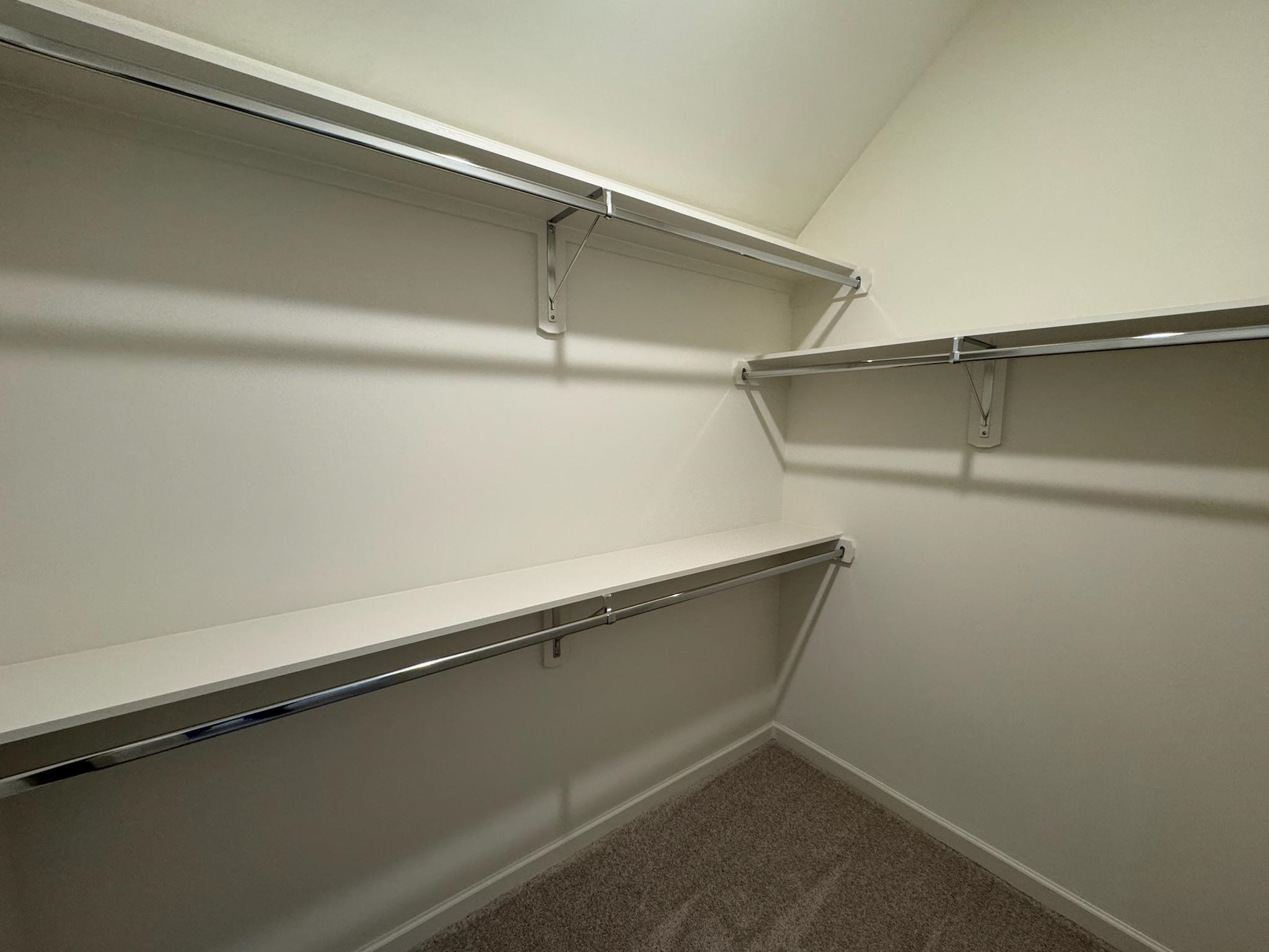 11512 Sunsparkler Way Collierville, TN 38017 - Photo 35 of 40 Walk in closet with dark carpet