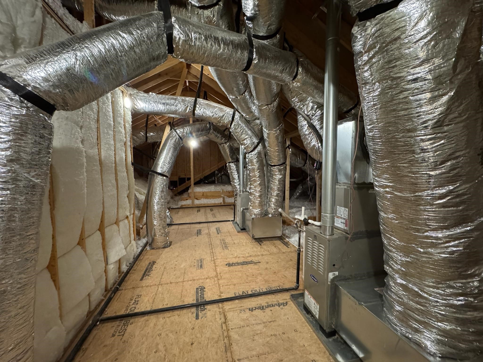 11512 Sunsparkler Way Collierville, TN 38017 - Photo 36 of 40 View of attic