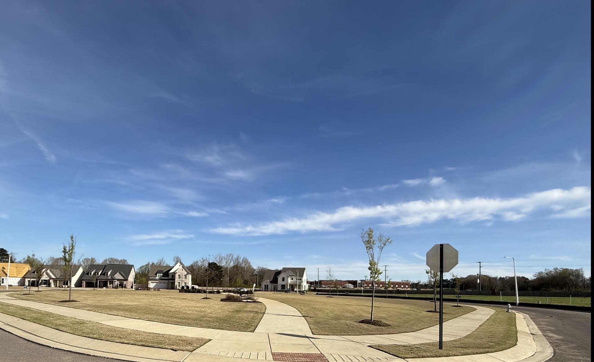 11512 Sunsparkler Way Collierville, TN 38017 - Photo 39 of 40