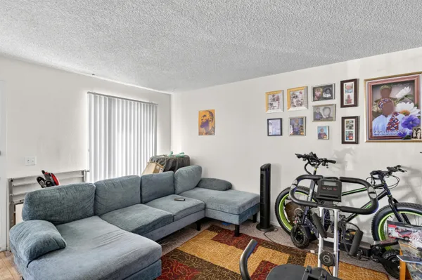 a living room with furniture or couch and a window