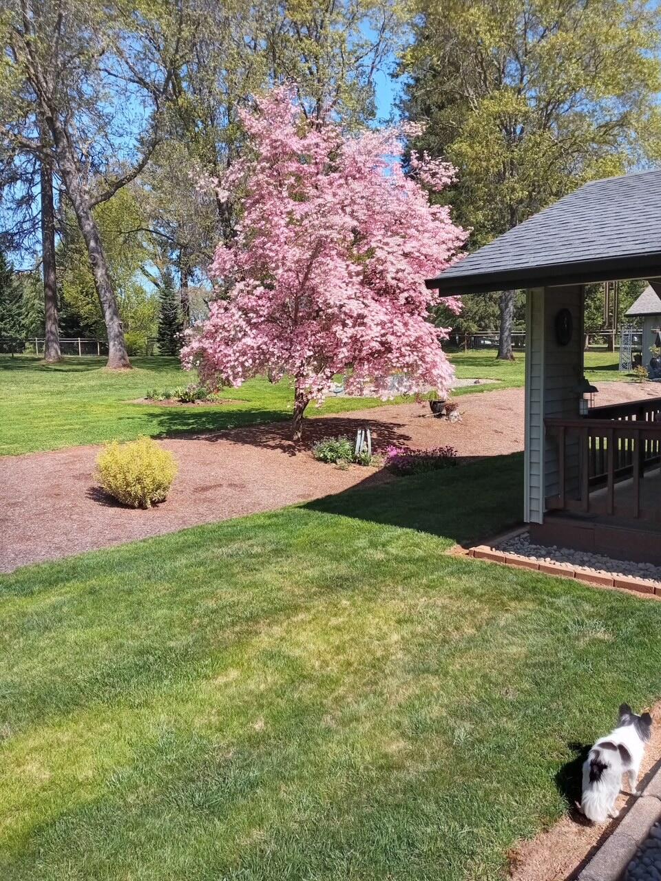 2164 Russell Road Merlin, OR 97532 - Photo 31 of 52 761204959765731147