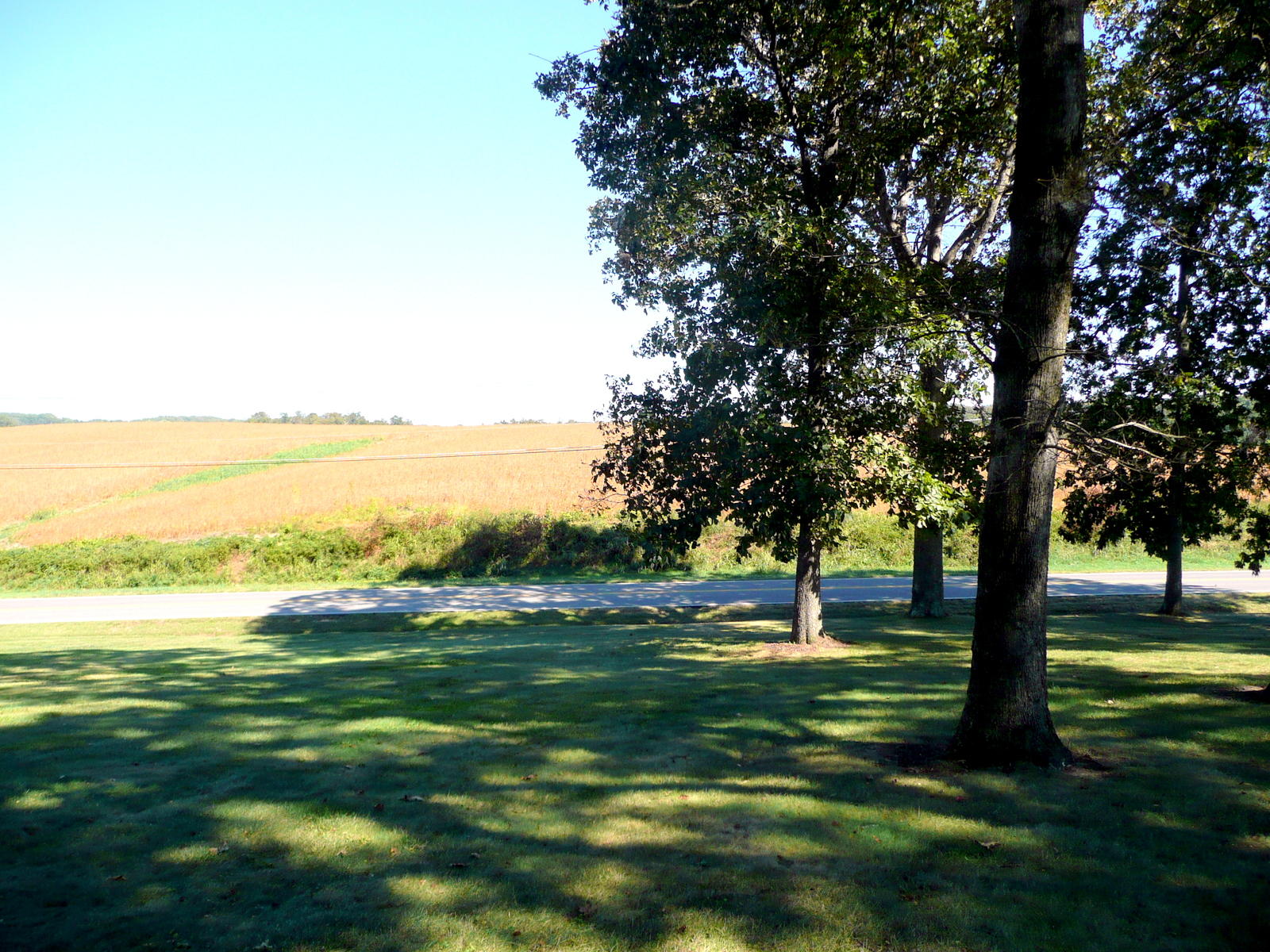 17000 Steekee Road Loudon, TN 37774 - Photo 2 of 40 View From Front