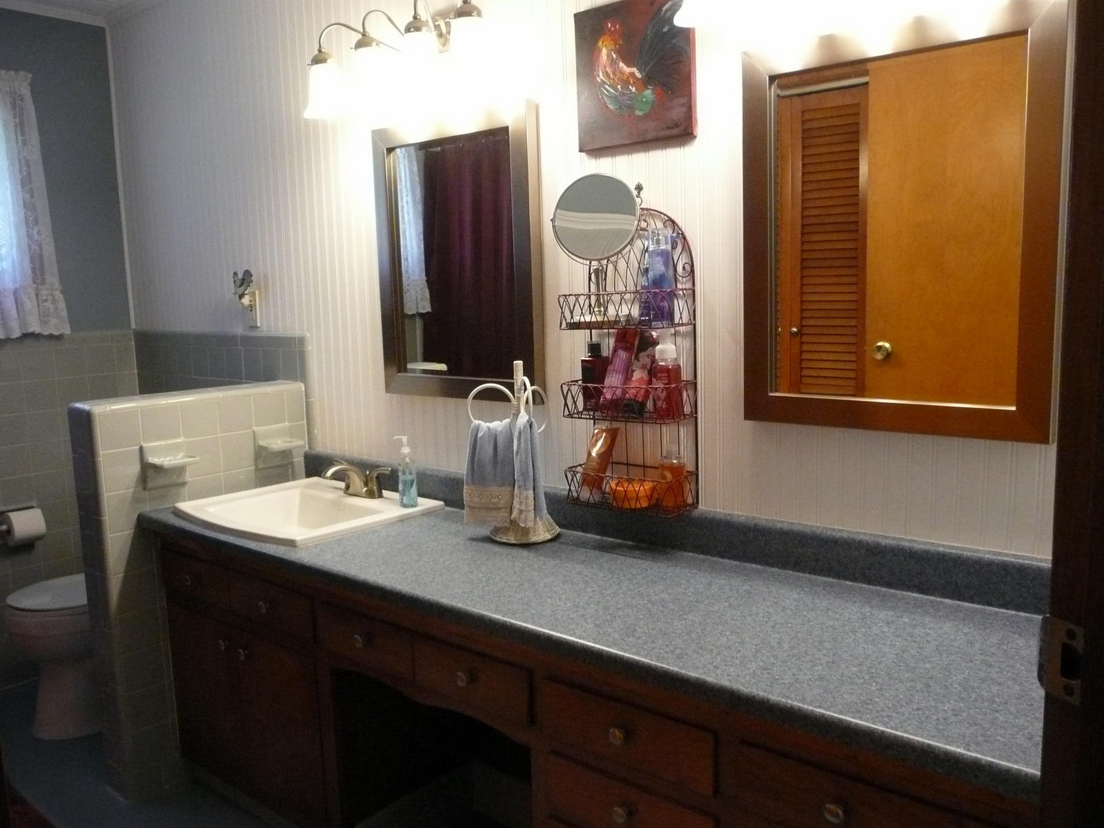 17000 Steekee Road Loudon, TN 37774 - Photo 25 of 40 Lots of Vanity Space in Hall Bath