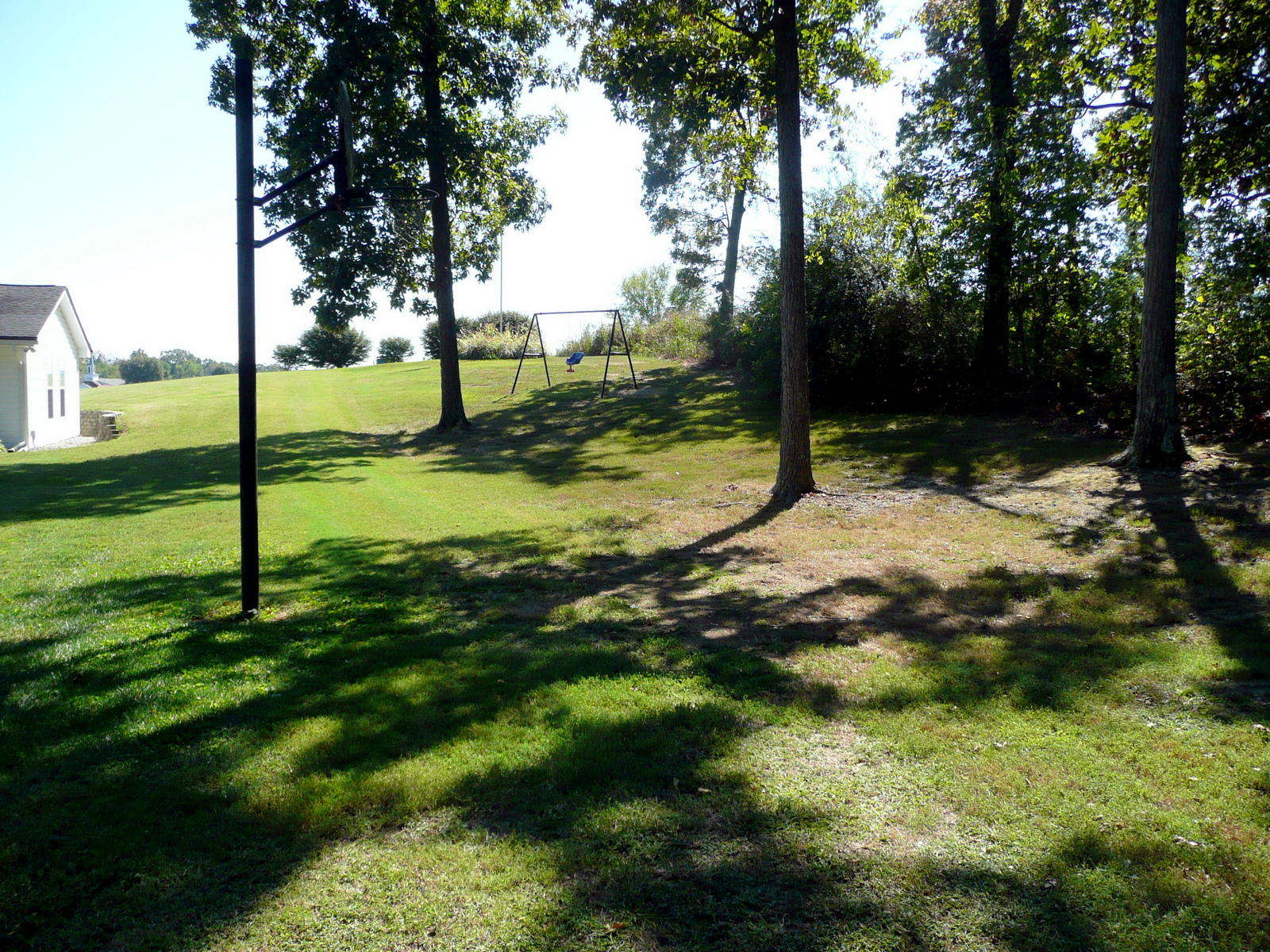 17000 Steekee Road Loudon, TN 37774 - Photo 37 of 40 Back Yard