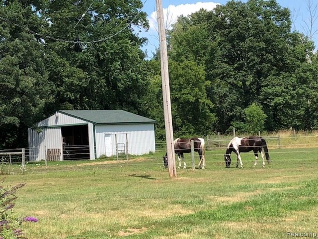 10960 North Nicholson Road Fowlerville, MI 48836 - Photo 22 of 24