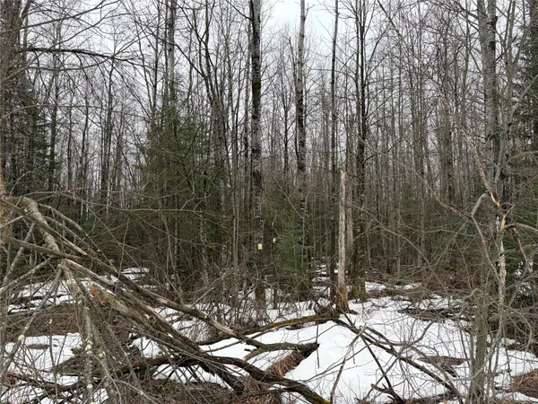 $336,844 | On North Hoffer Road, Couderay, WI 54828