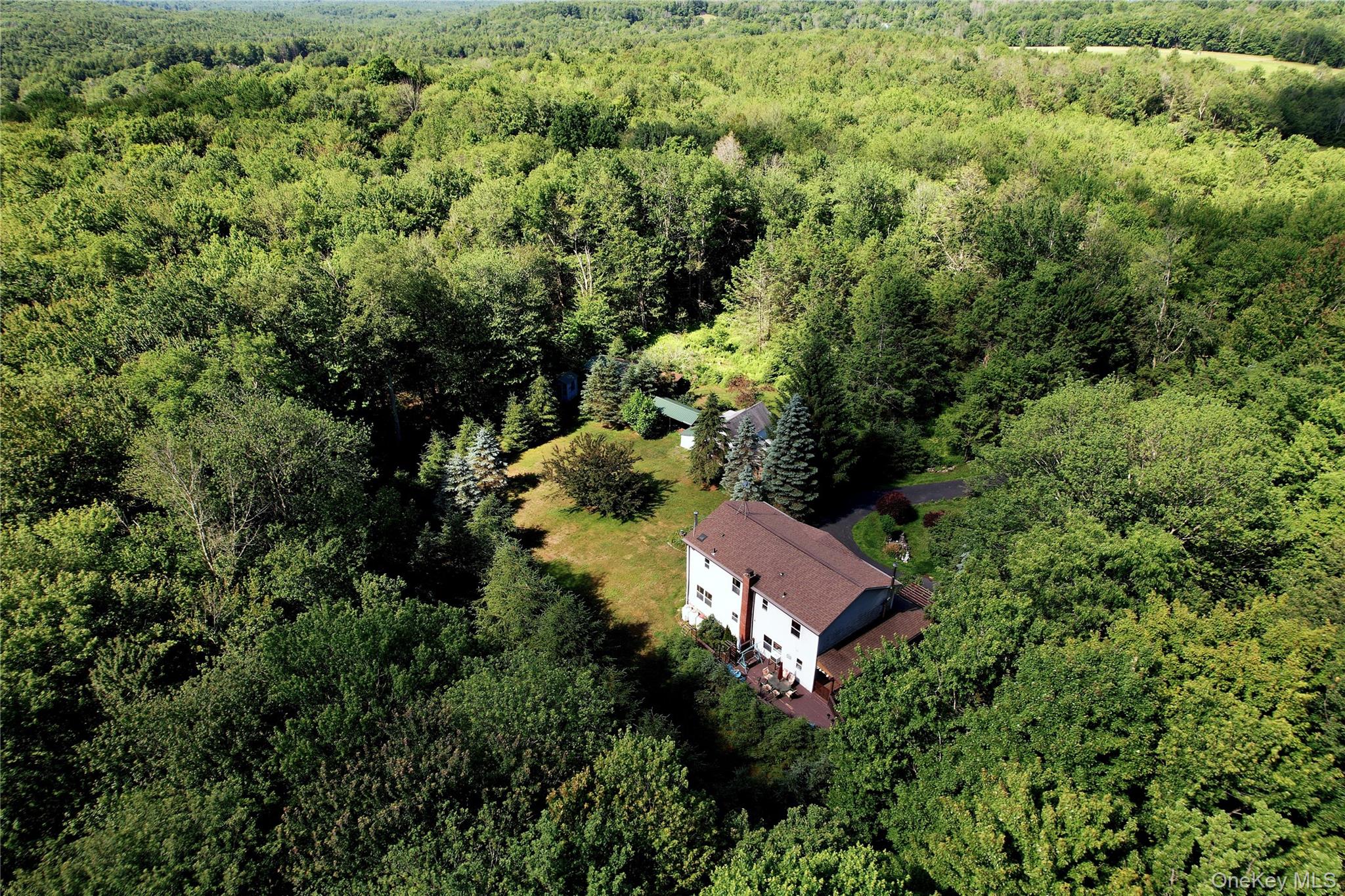 239 Burnt Ridge Road Liberty, NY 12754 - Photo 6 of 50