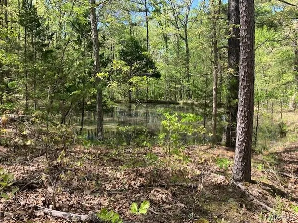 $119,995 | 11 West State Highway, Potosi, MO 63664