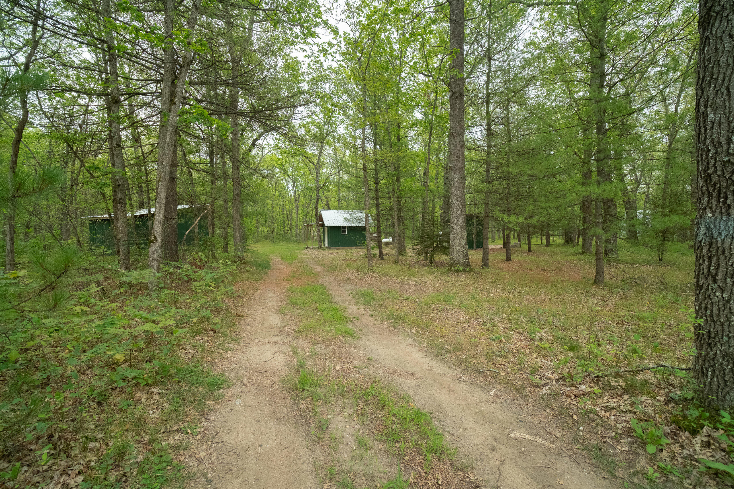 677 Snyder Road Wellston, MI 49689 - Photo 1 of 37 Picture perfect recreational property