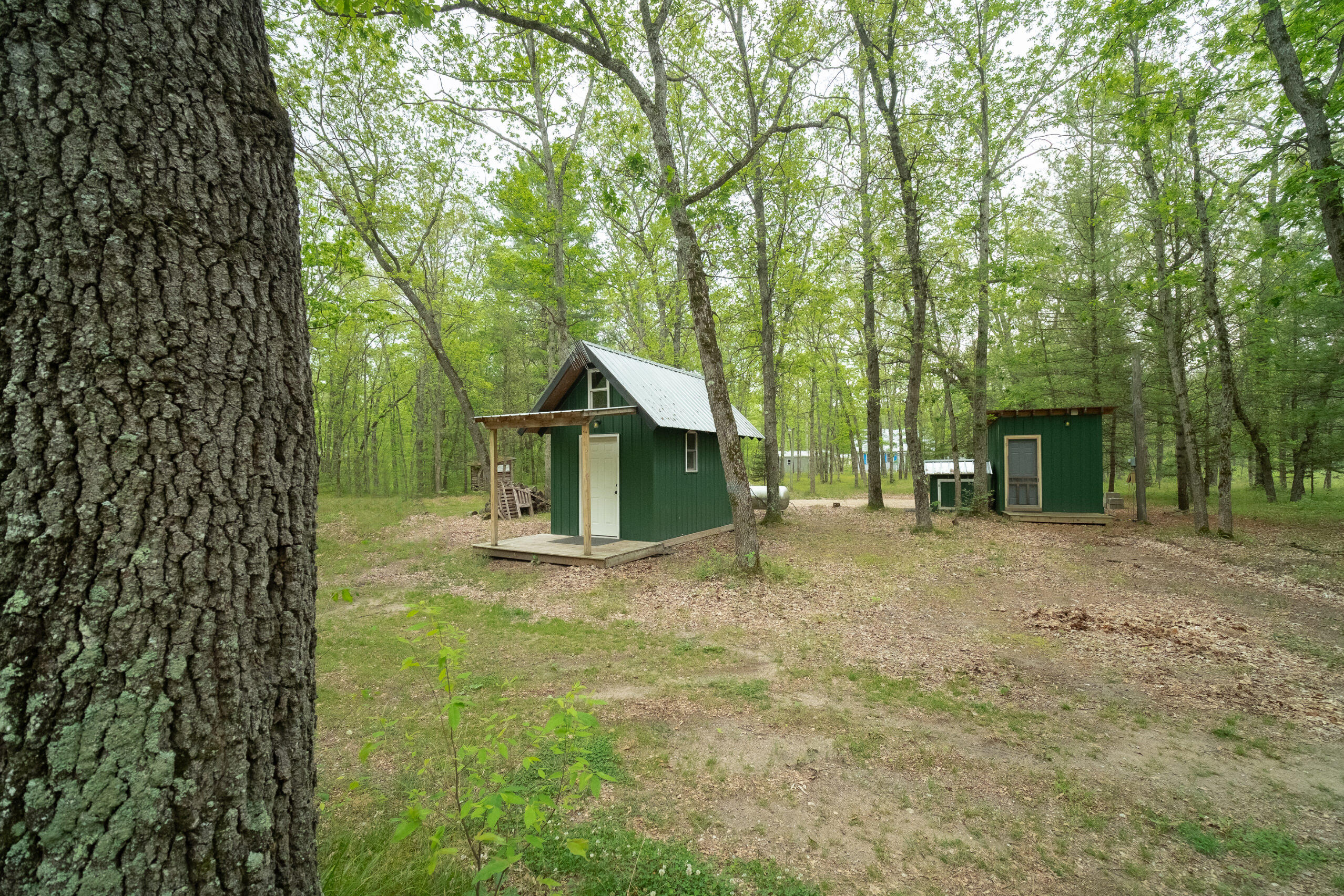 677 Snyder Road Wellston, MI 49689 - Photo 2 of 37 Newer tiny house and bath house