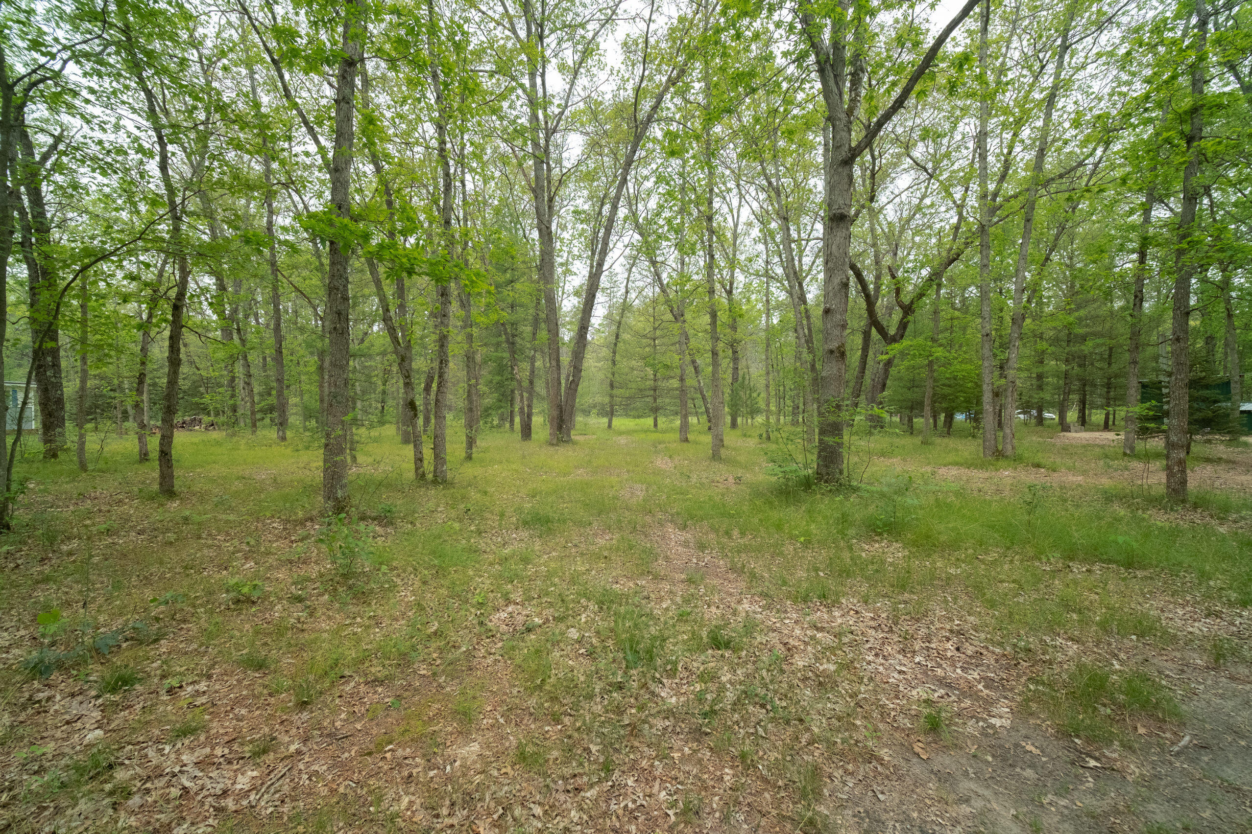 677 Snyder Road Wellston, MI 49689 - Photo 29 of 37 Extra wooded lot for privacy