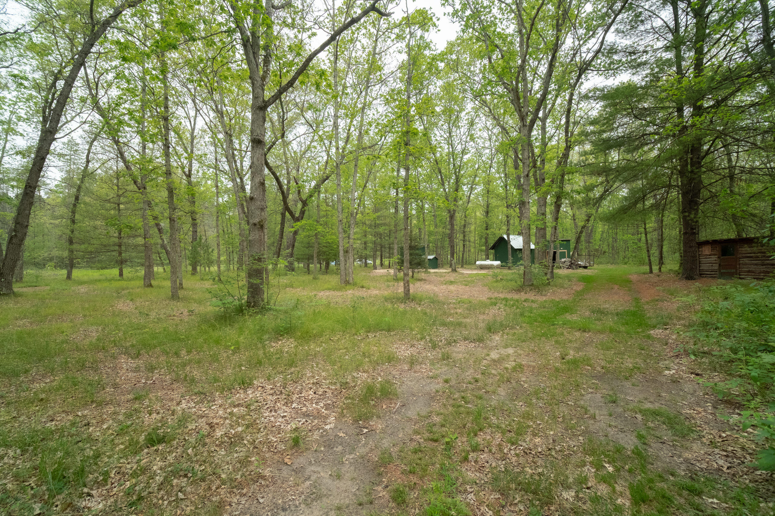 677 Snyder Road Wellston, MI 49689 - Photo 30 of 37 Secluded wooded setting
