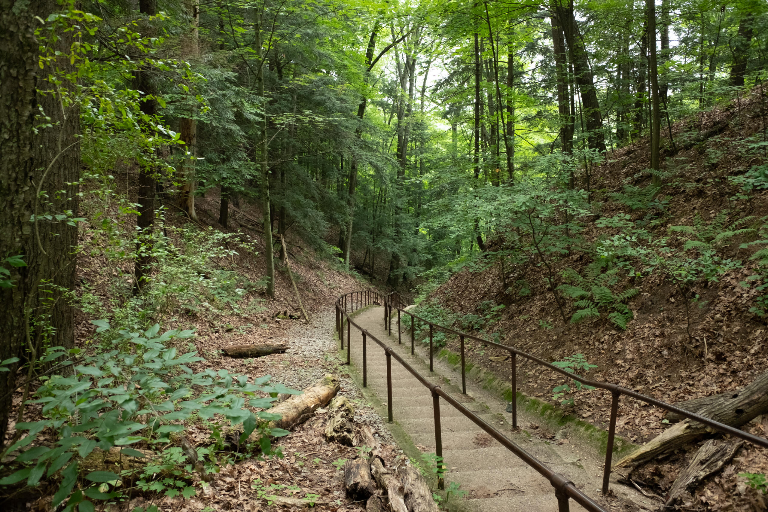 677 Snyder Road Wellston, MI 49689 - Photo 31 of 37 Steps leading to backwaters of Tippy Dam