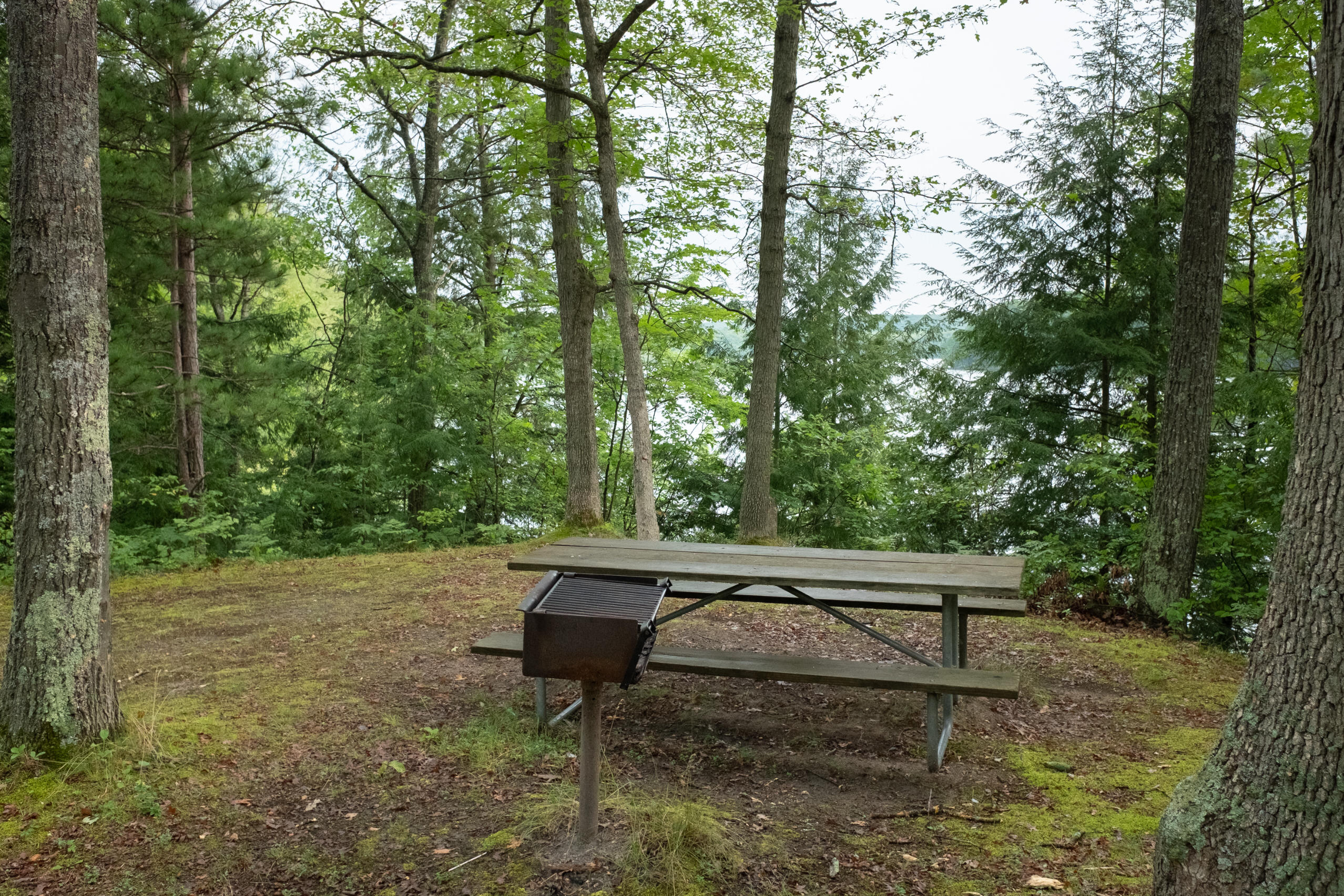 677 Snyder Road Wellston, MI 49689 - Photo 36 of 37 Picnic area at boat launch