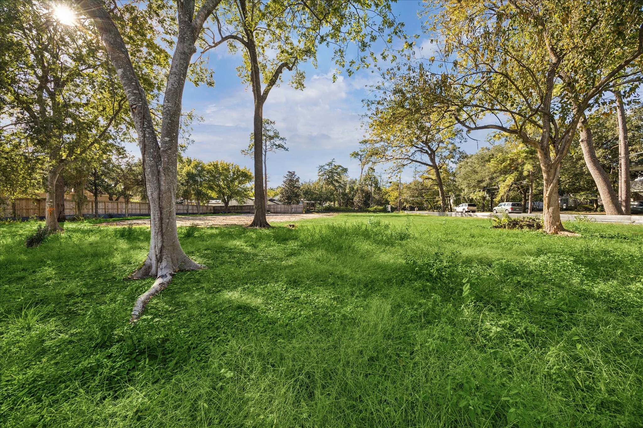 a view of a park with large trees